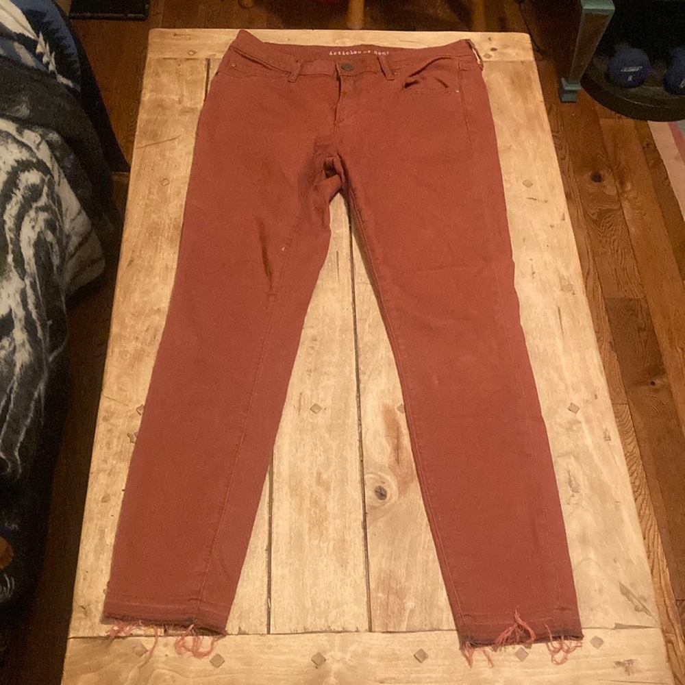 Articles of society pants